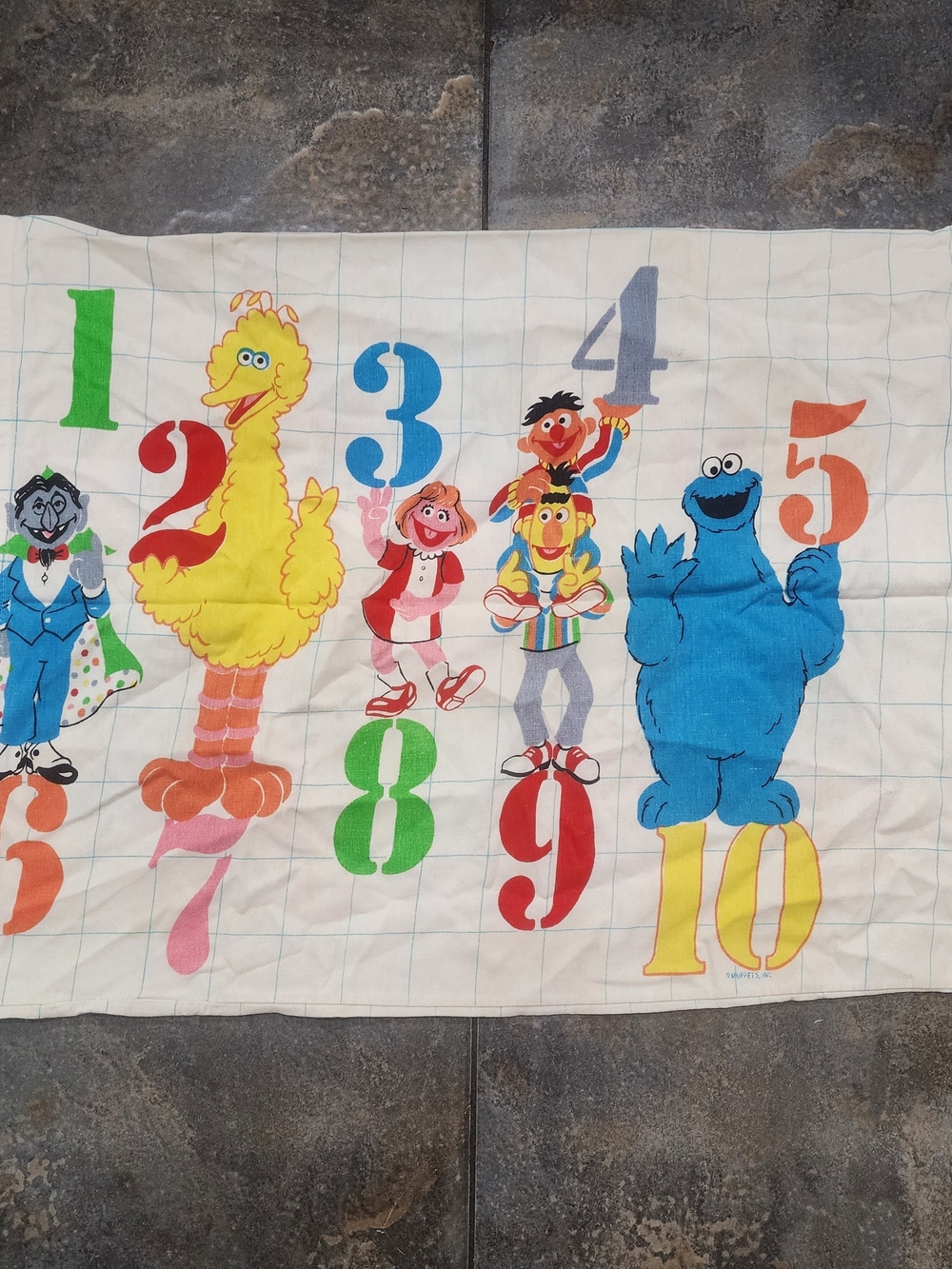 Vintage Sesame Street Counting Numbers Pillow Case- Bert, Ernie, Cookie Monster